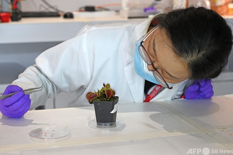 自然と技術を融合させた「ロボ植物」が現実に？ シンガポール