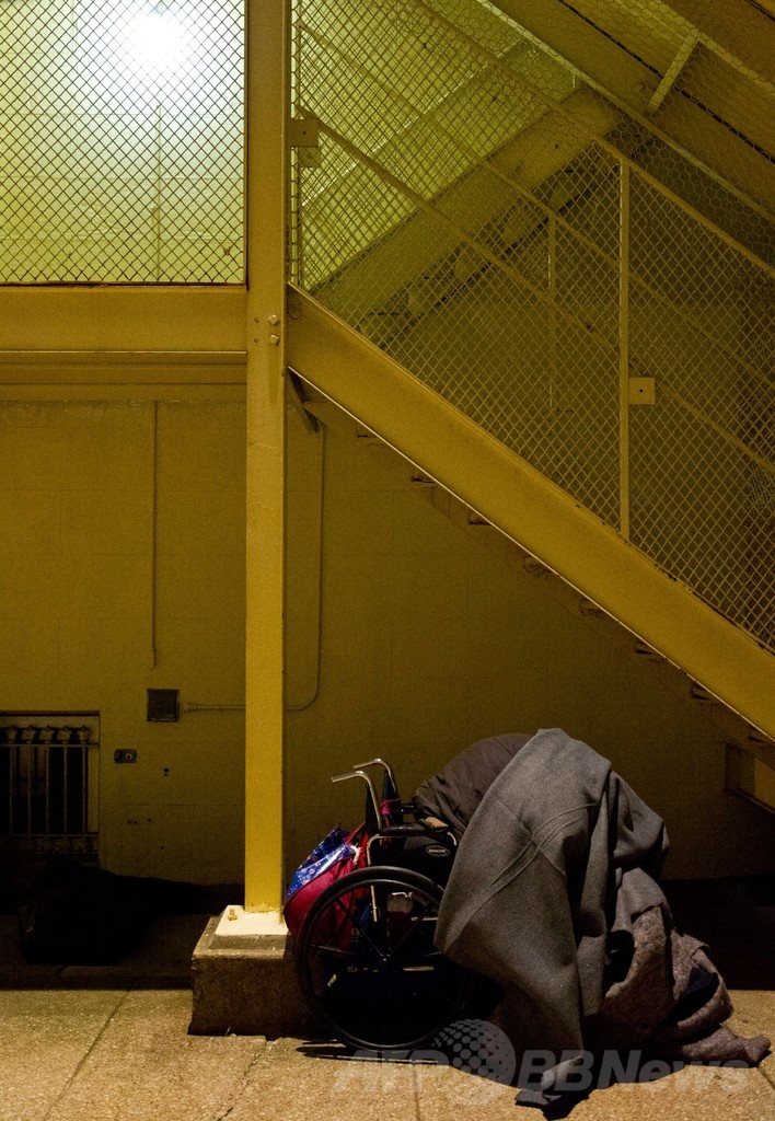 大寒波の米国、火星よりも寒い？ 動物園のホッキョクグマも屋内に