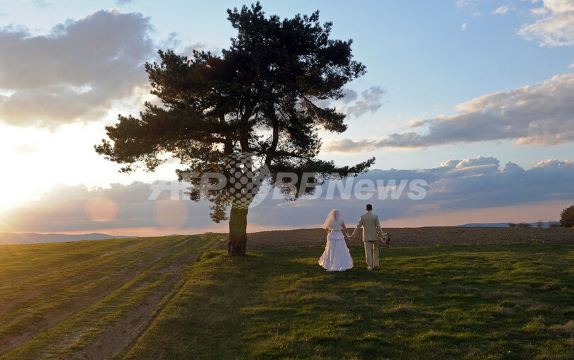 大草原でウェディング写真撮影、ポーランド