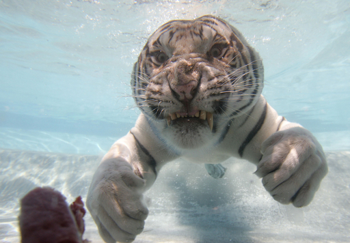 img_370b9a125c07c17c7b59799cf4