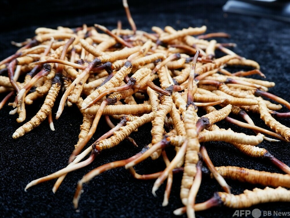 img_376aa73a361562f83fc44fe609