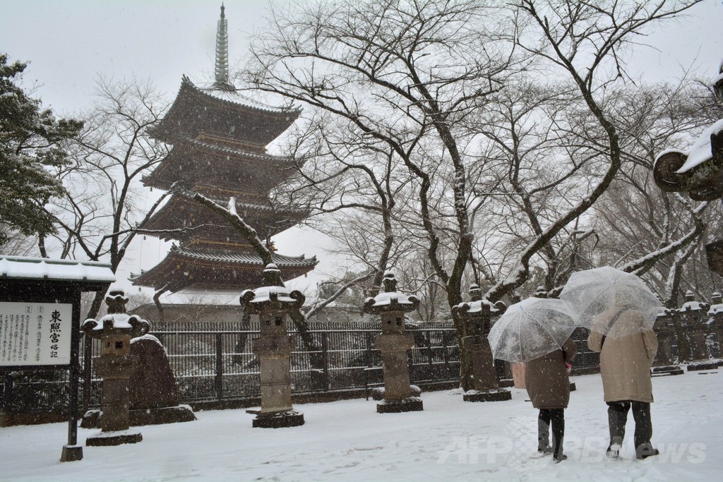東京などに大雪警報、23区では13年ぶり 各地で交通の乱れ