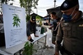 タイ中部ナコンパトム県で開催された大麻の合法化を祝うイベント「タイランド420: リーガルレーオ⁉」で、巡回する警官（2022年6月11日撮影）。(c)Lillian SUWANRUMPHA / AFP