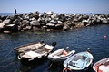 イタリア北西部チンクエテッレ国立公園のマナローラの海（2021年6月24日撮影）。(c)MARCO BERTORELLO / AFP