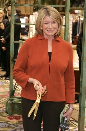 マーサ・スチュワートさん、英国へのビザ発給されず