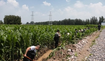 被災農地面積は約96万ヘクタール 中国・河南省