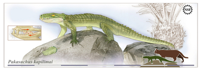 ほ乳類に似た新種ワニの化石発見、陸上生活に適応