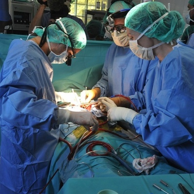 iPS細胞でヒトの心臓組織を生成、自発収縮活動も 米研究