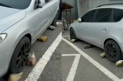 「車の周囲に接着剤で石を置かれ、動けない」…ソウルの多世帯住宅で異常トラブル勃発