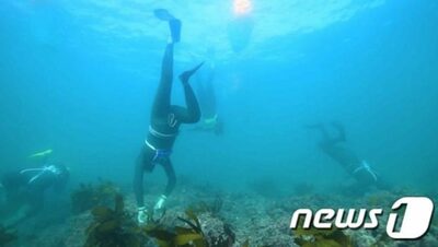 韓国・済州の海女漁業、世界農業遺産に登録