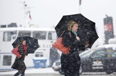 バクテリアがひょうを作る、米微生物学者が報告