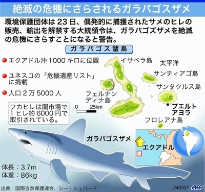 フカヒレ販売合法化の大統領令に環境団体が警鐘