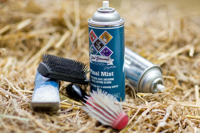 ヘアメイクもばっちり、牛のビューティー・コンテスト ドイツ