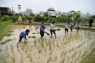 地上33メートルの「空中農園」、社員の息抜きに 重慶