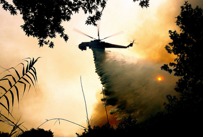 ギリシャの山火事で死者56人、オリンピアの遺跡は無事