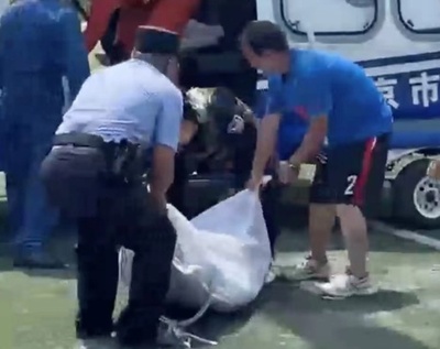 「特殊な粉ミルク」が空からやって来た！