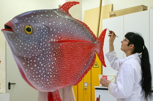 科学史上初の 恒温魚 深海の生存競争で優位に 米研究 写真2枚 国際ニュース Afpbb News