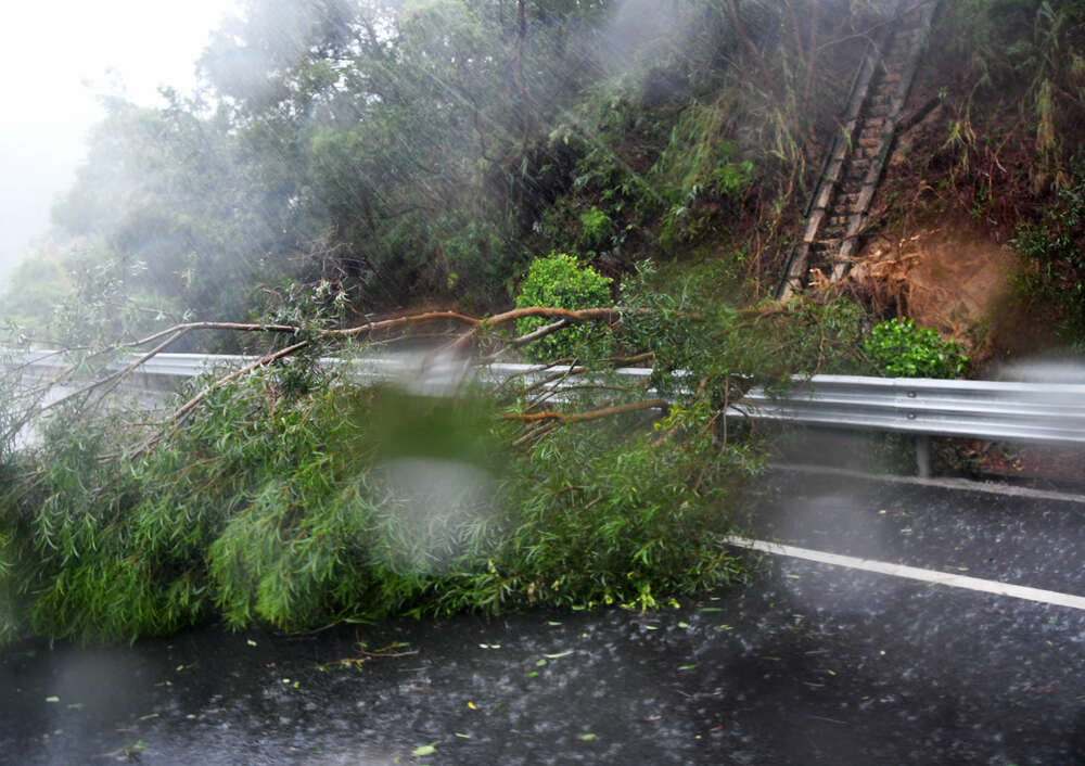 台風6号、福建省漳浦県に上陸 写真14枚 国際ニュース:AFPBB News