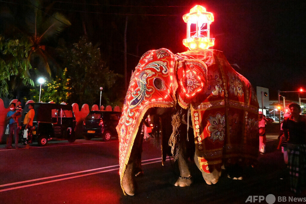 ⚠︎取りに来て頂ける方のみ⚠︎象さん 祭り スリランカ？ 大きい屏風 シーギリヤ・ロックを背景に象に乗る【スリランカ】｜生方正の旅ブログ