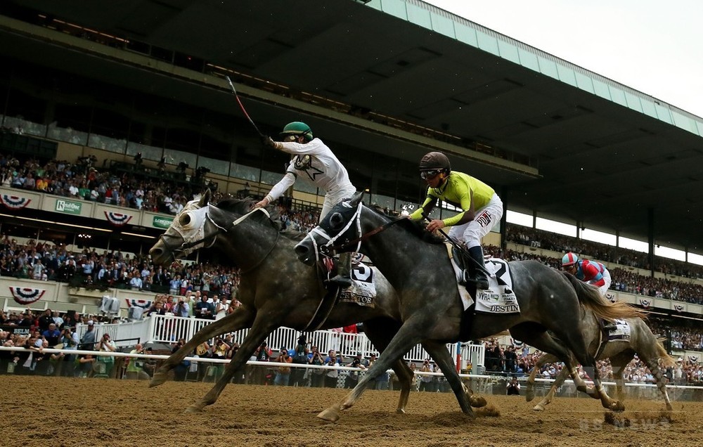 img_384f23b7cd8a9a63a8dacb8c83