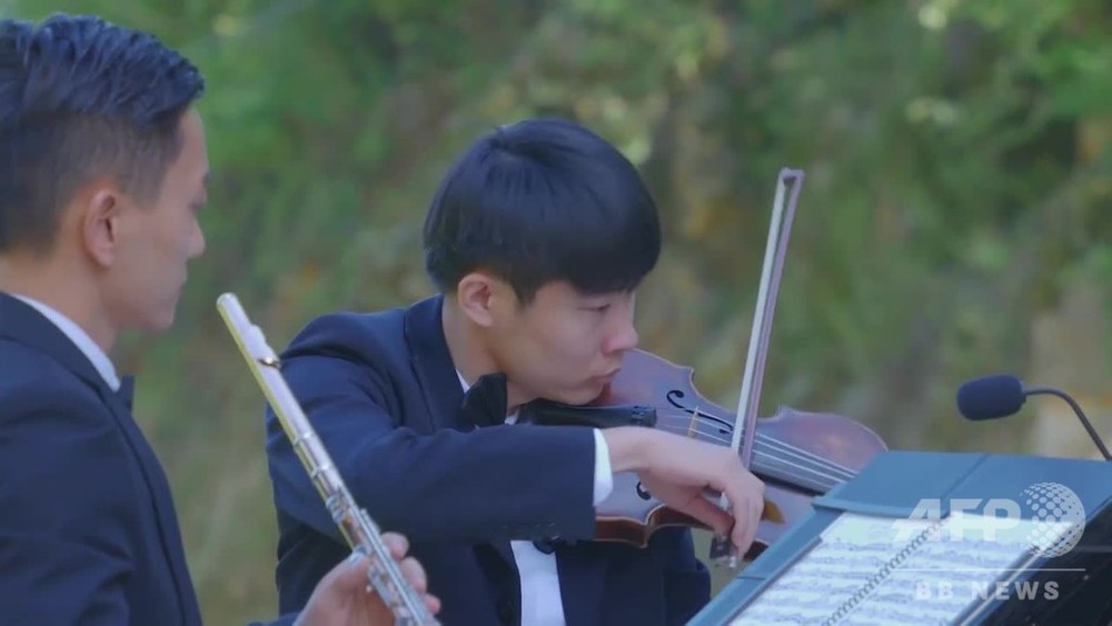 動画 西安交響楽団 ジャイアントパンダ国家公園で演奏 陝西省 写真1枚 国際ニュース Afpbb News
