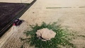 空爆によって開いたとみられる穴。ウクライナ東部ドネツク州クラマトルスクの小麦畑で（2022年7月7日撮影）。(c)MIGUEL MEDINA / AFP