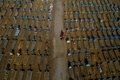 ブラジル北部アマゾナス州マナウスの墓地（2021年4月29日撮影）。(c)MICHAEL DANTAS / AFP