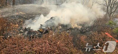 韓国・山火事に投入の消火ヘリが墜落、操縦士が死亡…全国で消火ヘリの運航中止