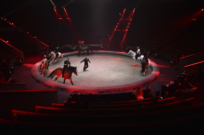 サーカスにナチスの軍服着たサル出演、ロシア検察が捜査