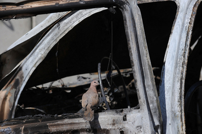 米牧師らのコーラン焼却に抗議、抗議行動で死者 アフガニスタン