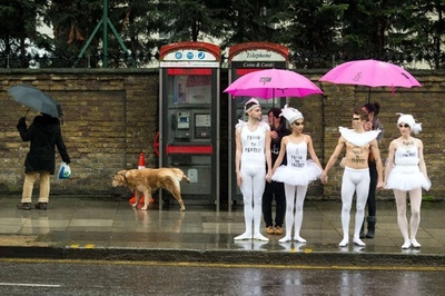 「白鳥の湖」でロシアの反同性愛法を非難、ロンドン