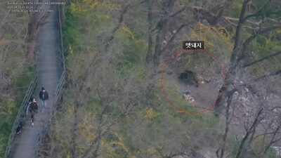 野生イノシシ・タヌキの出没地を地図化…韓国、AIで都市リスクを可視化