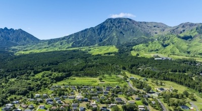 「ASONOHARA草原育成プロジェクト」が「生物多様性ネットゲイン認証」のトライアル認証第一号に認定
