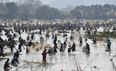 インド北東部アッサム州で収穫祭、大勢で魚捕り