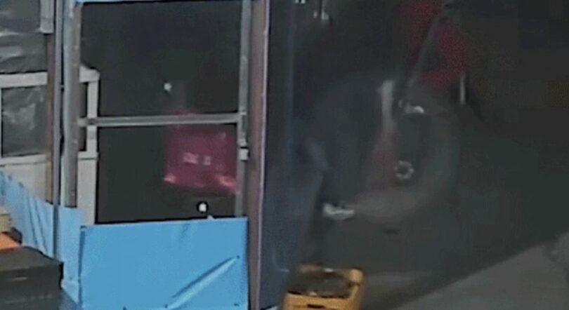 警察当局のYoutubeチャンネルキャプチャー(c)NEWSIS