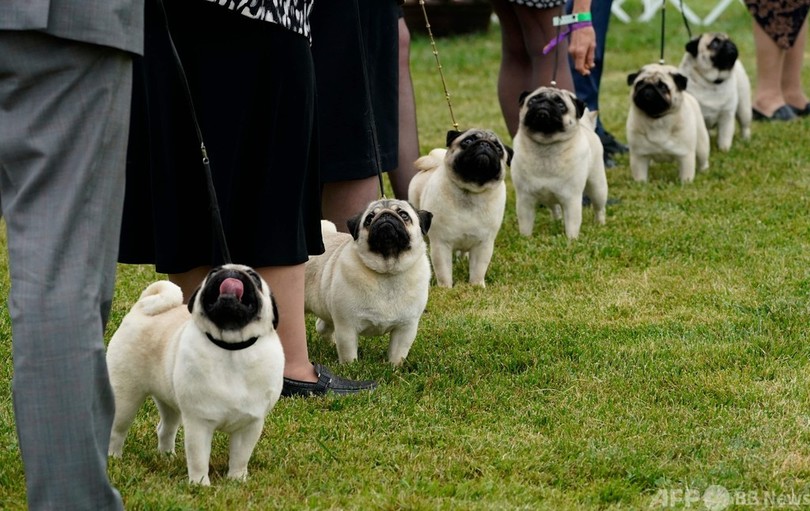 【今日の1枚】そっくりさん勢ぞろい