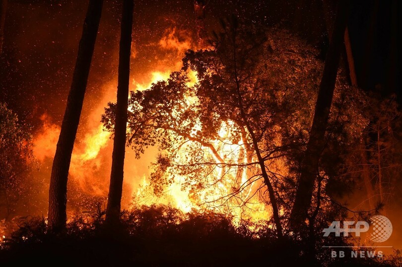 フランス南西部で森林火災 熱波でさらなる火事に警戒 写真8枚 国際ニュース Afpbb News