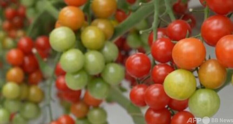 宇宙科学技術は人々の生活に活用 中国