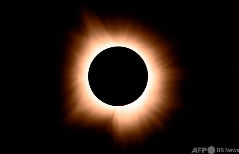 皆既日食危惧の米占星術インフルエンサー、パートナーと実子殺して激突死