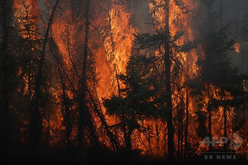 写真特集 カナダの大規模な山火事 現場の様子 写真24枚 国際ニュース Afpbb News