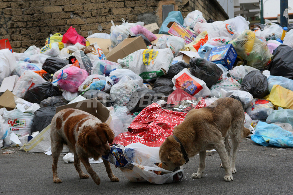 ナポリの未回収のゴミ問題で抗議行動が激化 写真5枚 国際ニュース:AFPBB News