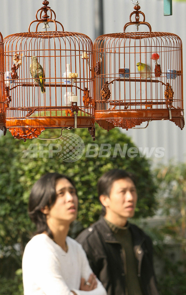 <鳥インフルエンザ>鳥の死骸(しがい)検査で陽性 香港 写真2枚 国際ニュース:AFPBB News
