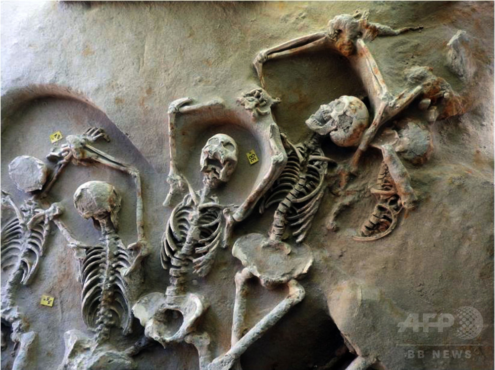 古代の 集団墓地 発見 人骨80体 アテネ 写真2枚 国際ニュース Afpbb News