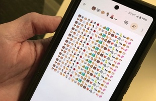 絵文字に菌類や甲殻類が少なすぎ、生物多様性の反映を 伊研究