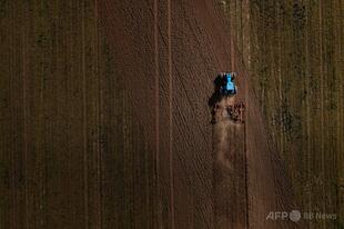 世界の農地、最大17％が重金属で汚染