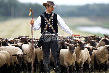 アンティーク ドイツputz sheep ひつじの群れと羊飼いのセット 希少