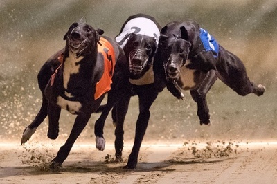 英首都最後のドッグレース場にピリオド、社会変化と不動産高騰で