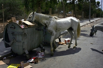 ゴミを捨てると「ありがとう」と言うゴミ箱、ヘルシンキ市が設置へ