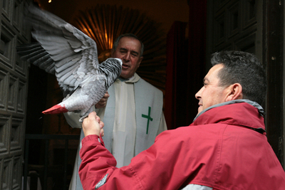 スペインの「サン・アントン祭」、ペット連れて教会へ
