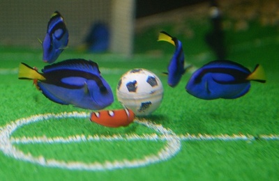 W杯前哨戦？横浜シーパラで応援イベント